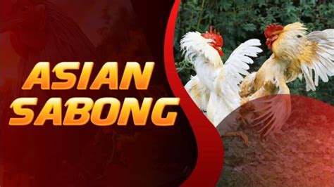 asian sabong